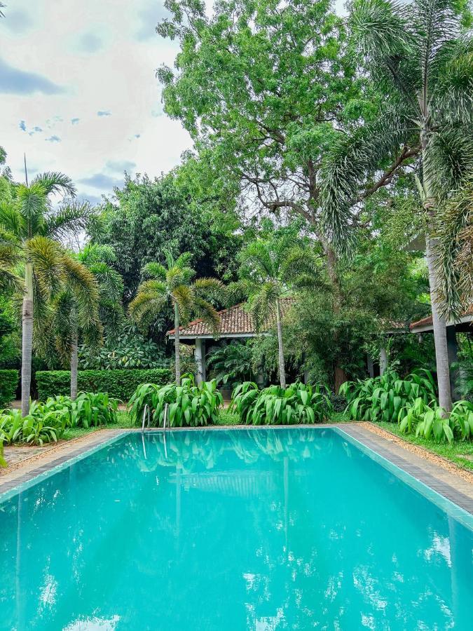 Wild Heaven Hotel Tissamaharama Bagian luar foto