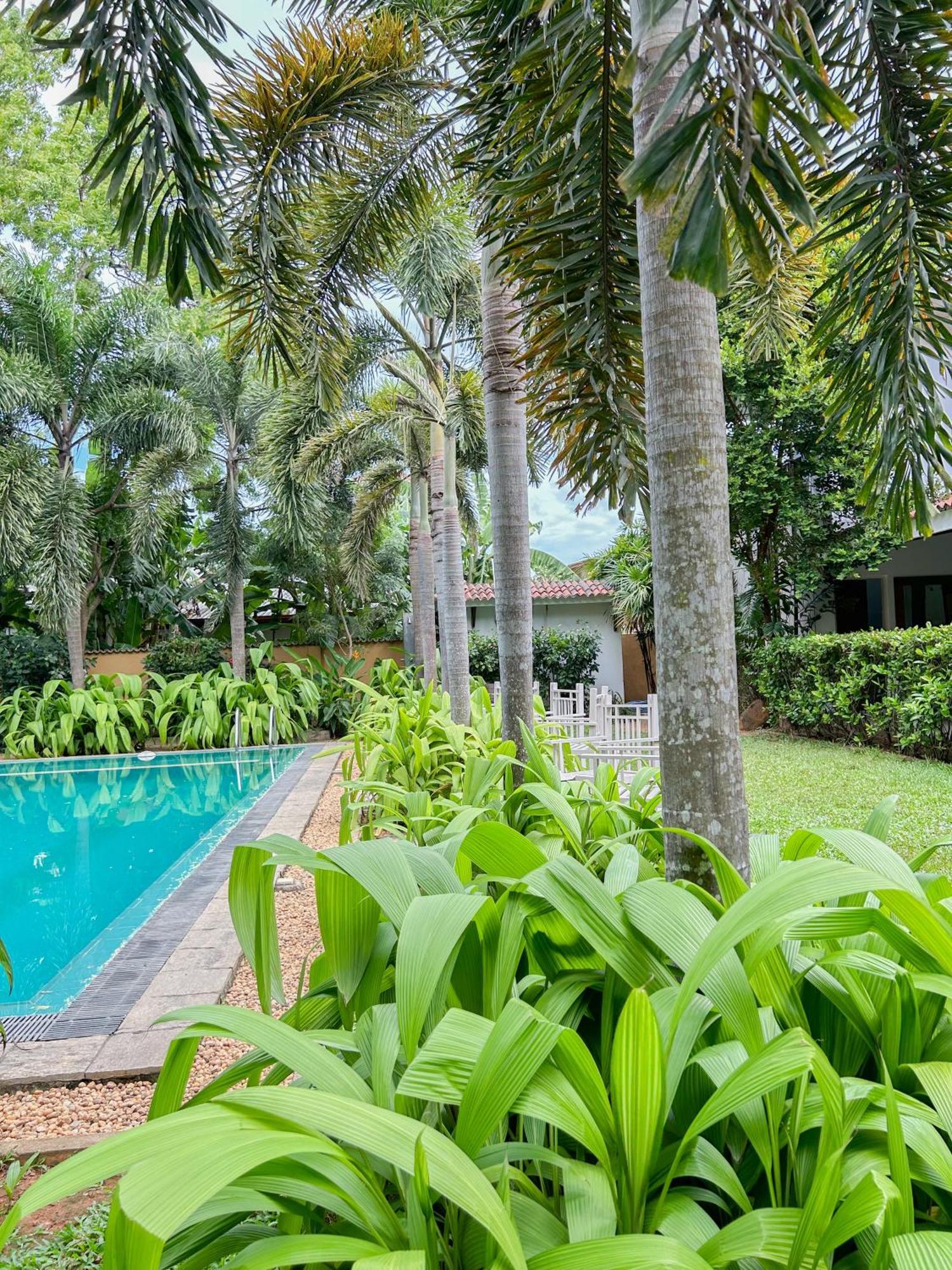 Wild Heaven Hotel Tissamaharama Bagian luar foto