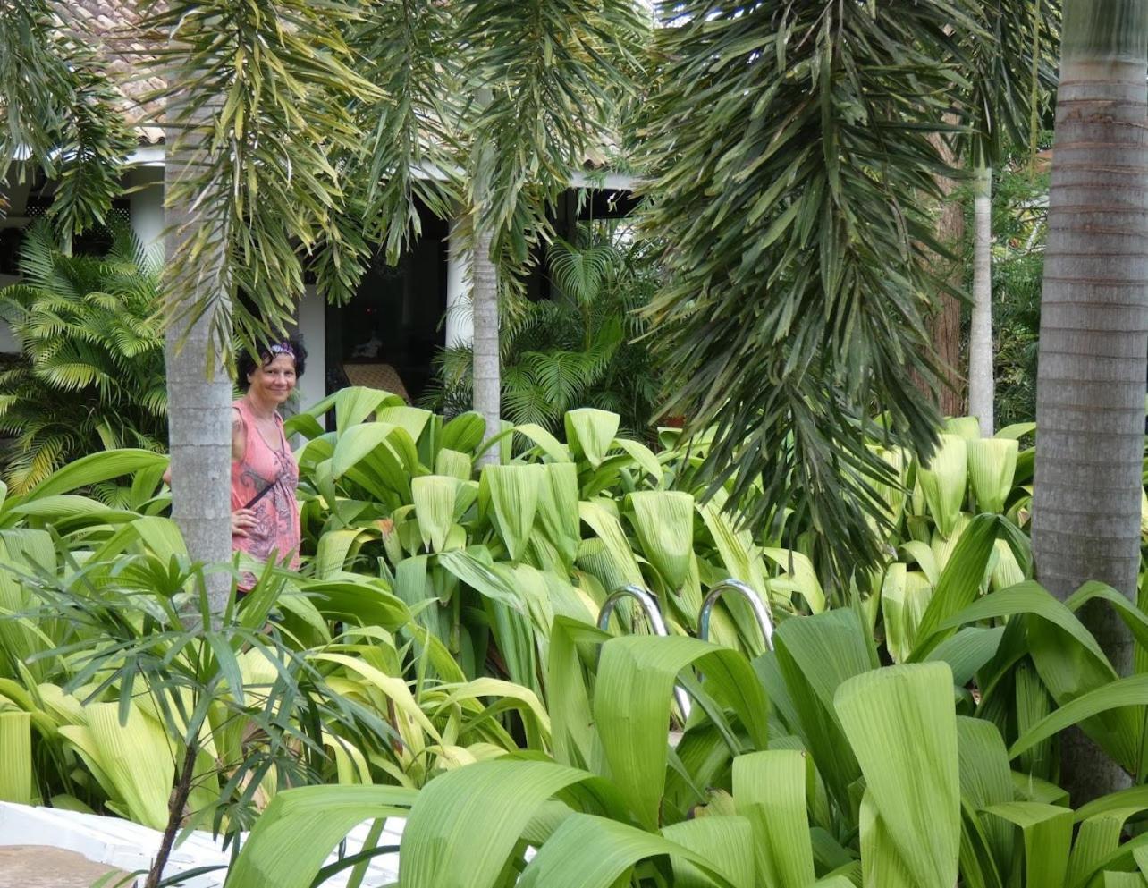 Wild Heaven Hotel Tissamaharama Bagian luar foto
