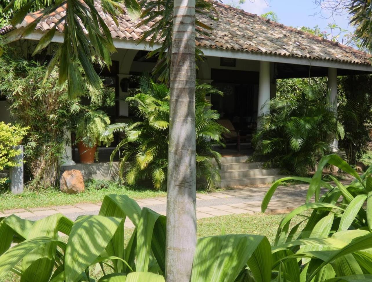 Wild Heaven Hotel Tissamaharama Bagian luar foto
