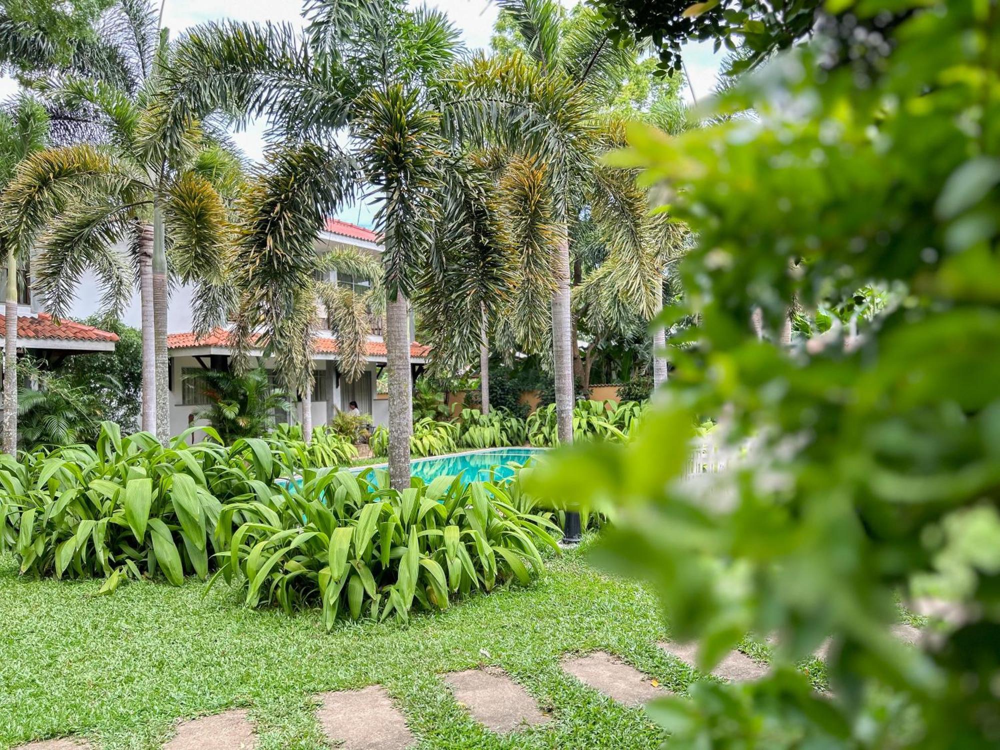 Wild Heaven Hotel Tissamaharama Bagian luar foto