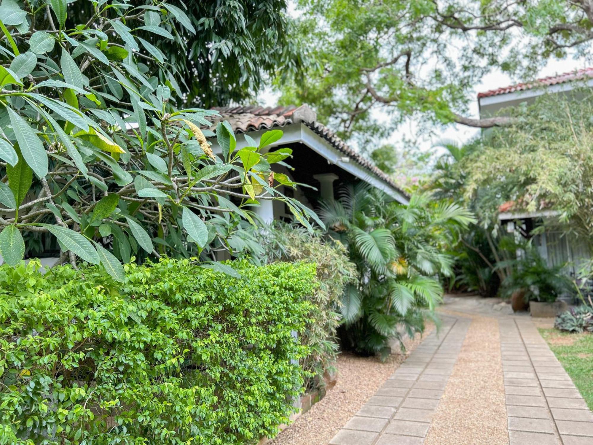 Wild Heaven Hotel Tissamaharama Bagian luar foto