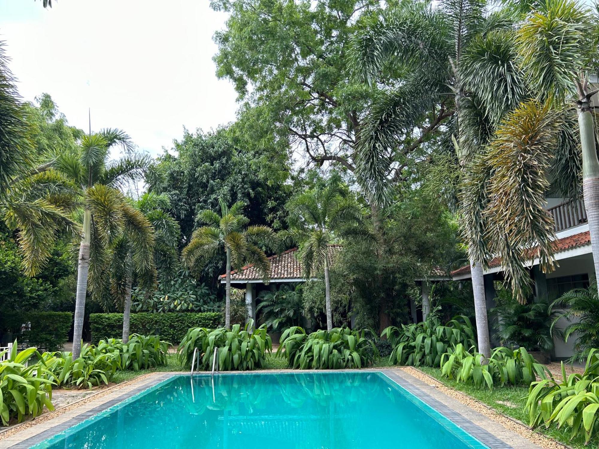 Wild Heaven Hotel Tissamaharama Bagian luar foto